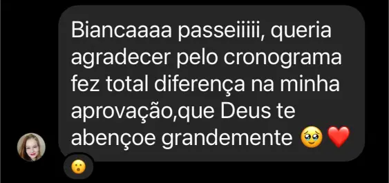 31. Raquel Araújo - Aprovada (43 pontos Exame 41) Cronograma 120 dias